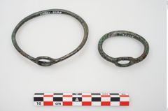 Foto von Bronzering (NHMW-PRAE-024572)